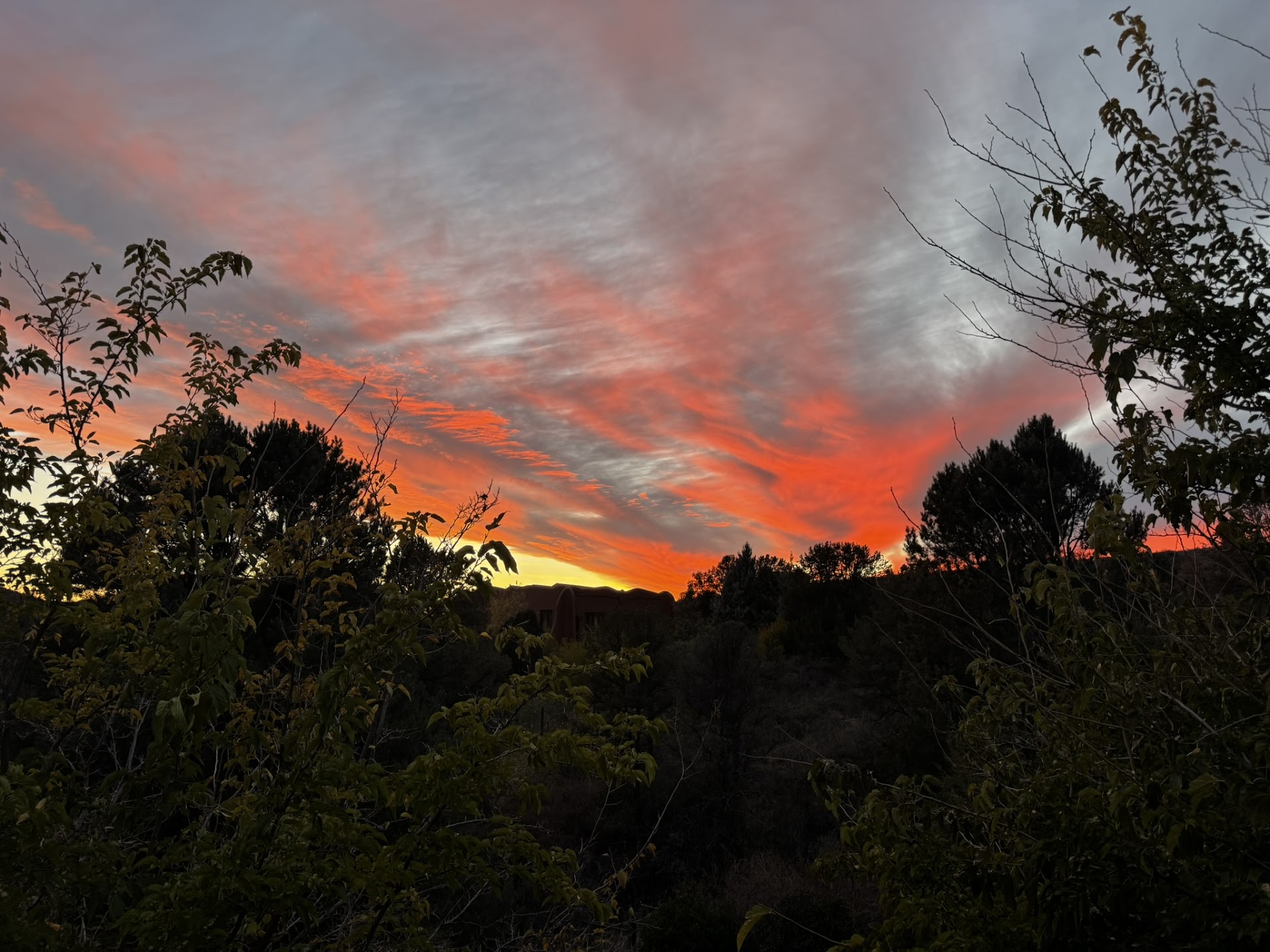 Hillside View Stargazing Paradise